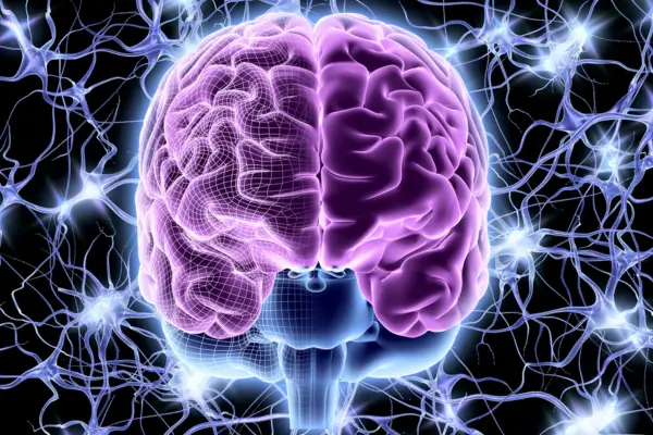 Estudia menos, aprende más: Técnicas basadas en la Neurociencia